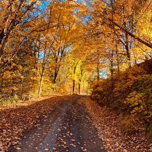 Meet your Posher, Jean